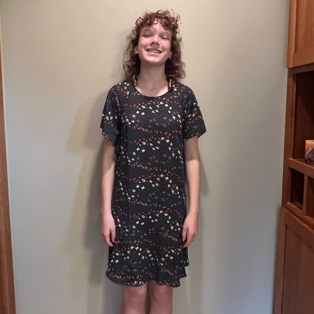 CABI tunic dress
